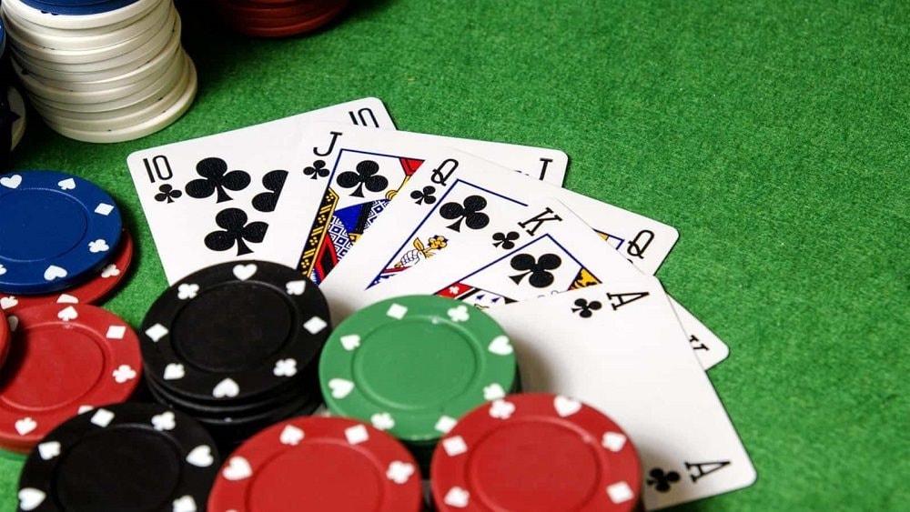 Khám phá 1v1 Bull-Bull: Trò chơi độc đáo đầy thử thách và giải trí
