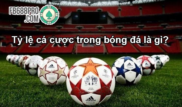 Khám Phá Những Thông Tin Hấp Dẫn Về VĐQG Ý 2023